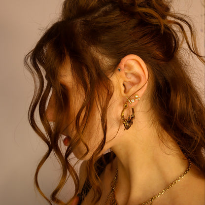 PASSIONATE HEART EARRINGS