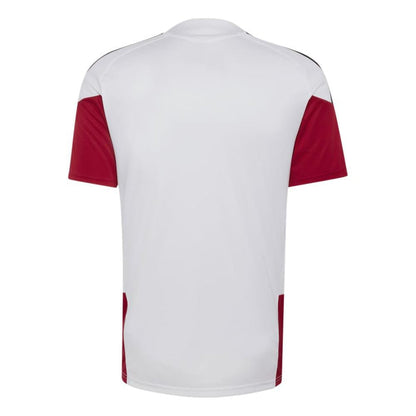 Camiseta Adidas River Plate Tr Jsy Hombre