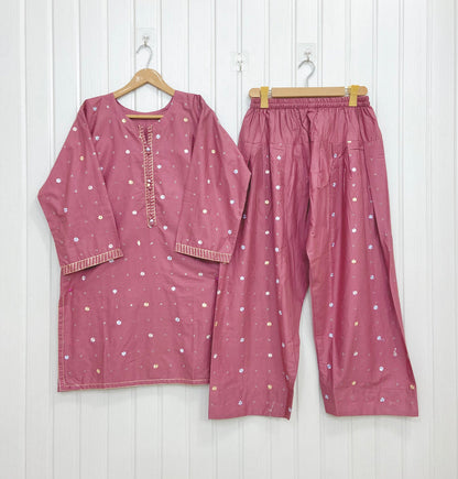 Dilreza | Pastel Farshi D-858