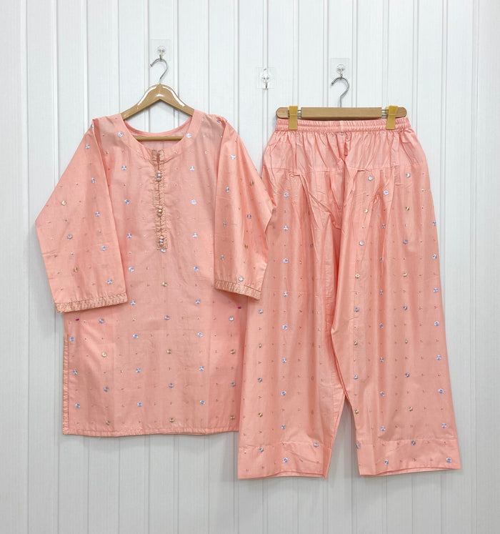 Dilreza | Pastel Farshi D-858