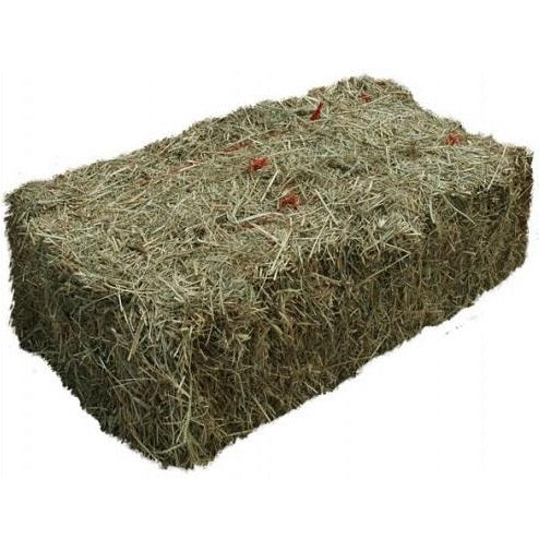 Hay: Single Bale