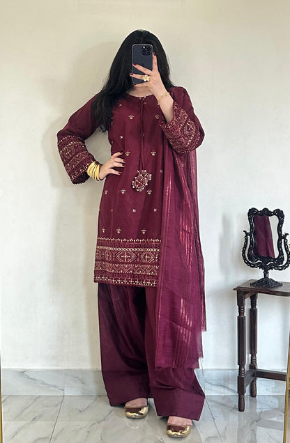 Noori Chicken Kari | D-471 Maroon