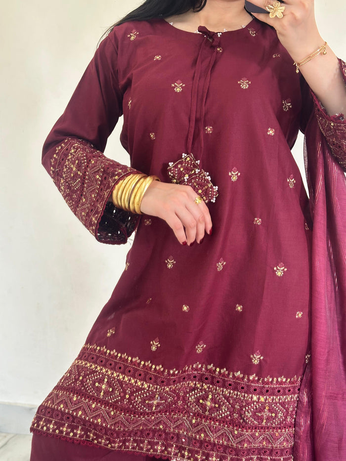 Noori Chicken Kari | D-471 Maroon