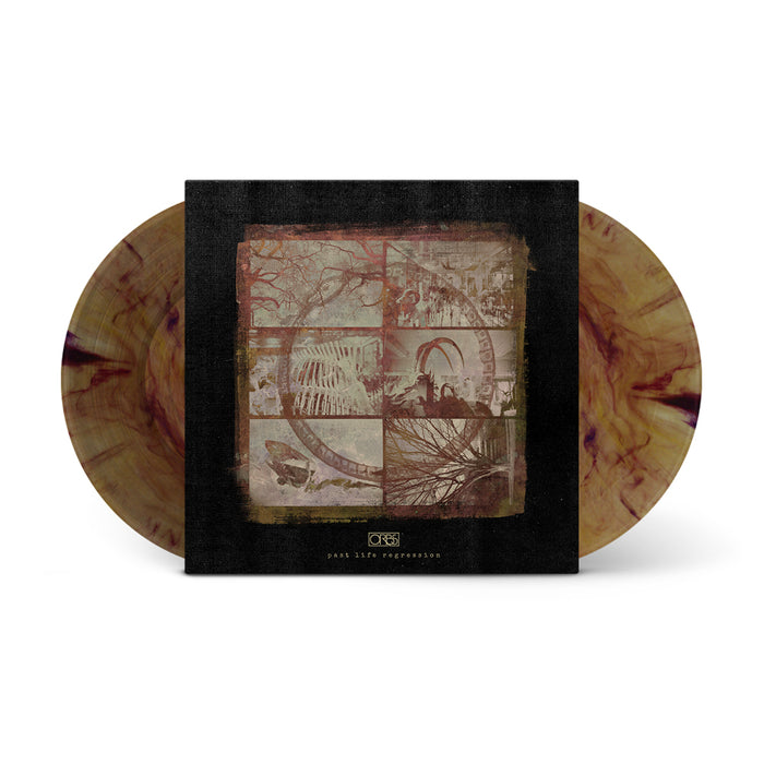 A limited edition Orbs vinyl with a marbled brown and tan pattern peeks out from its square album cover, which displays a collage of sepia-toned images framed by a dark border.