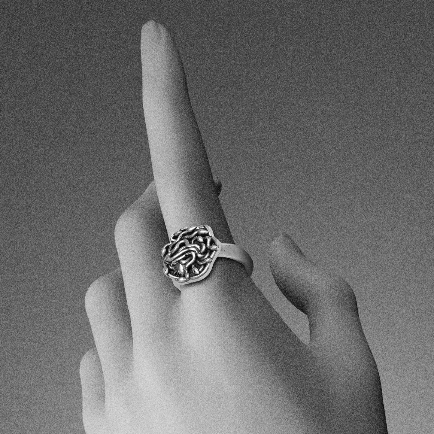 PETRIFIED GAZE RINGS
