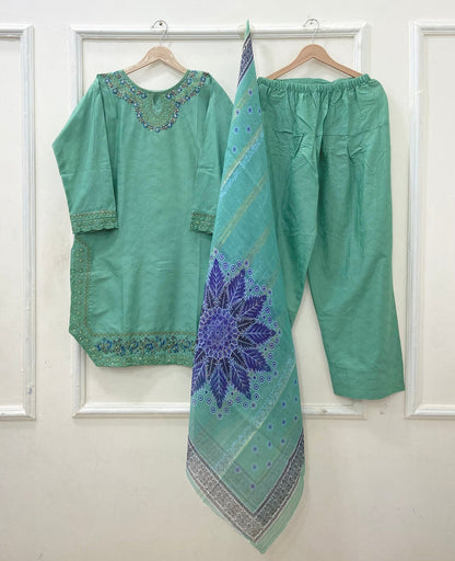 Premium Farshi | 3PC Cotton D-629