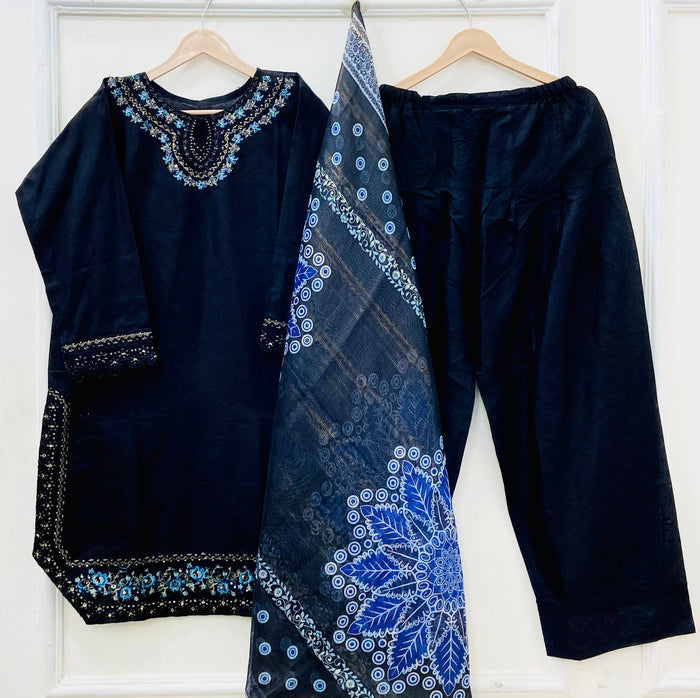 Premium Farshi | 3PC Cotton D-629
