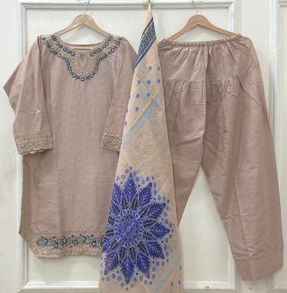 Premium Farshi | 3PC Cotton D-629
